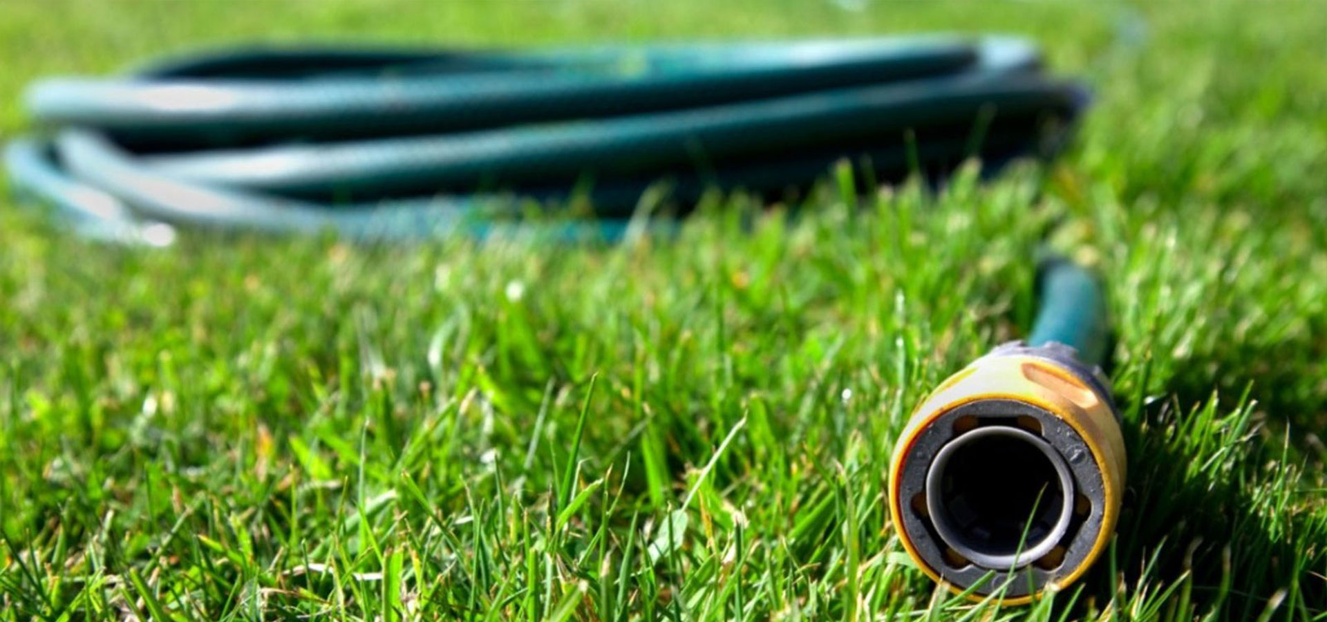 mangueira-linha-jardim