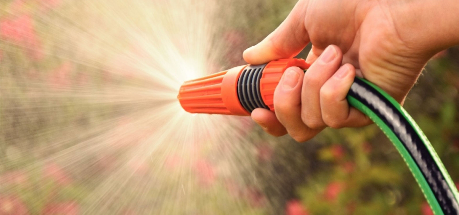 mangueira linha jardim